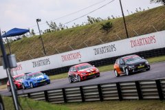 Polo-2022-04-23-033.jpg